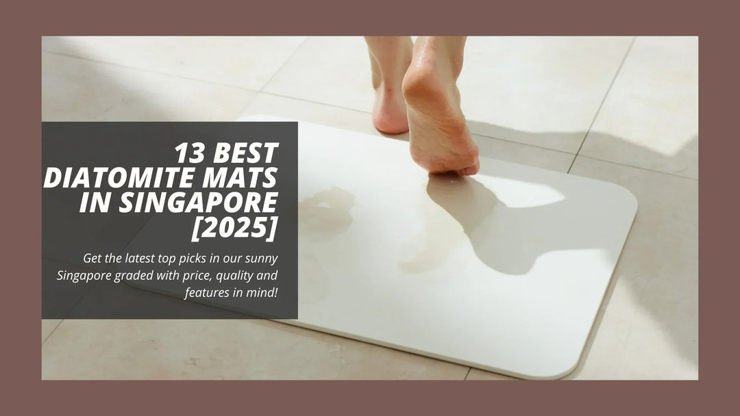 13 Best Diatomite Mats in Singapore [2025]