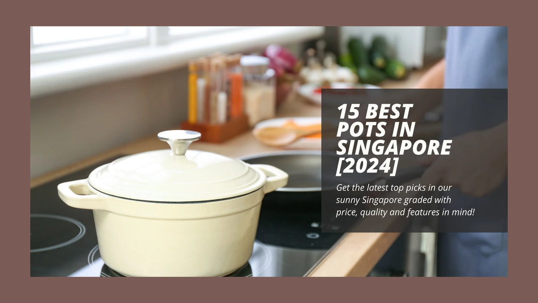 15 Best Pots In Singapore [2024]