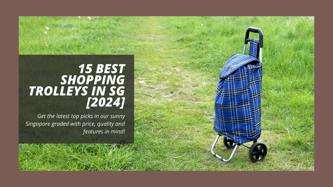 15 Best Shopping Trolleys In Singapore [2024]