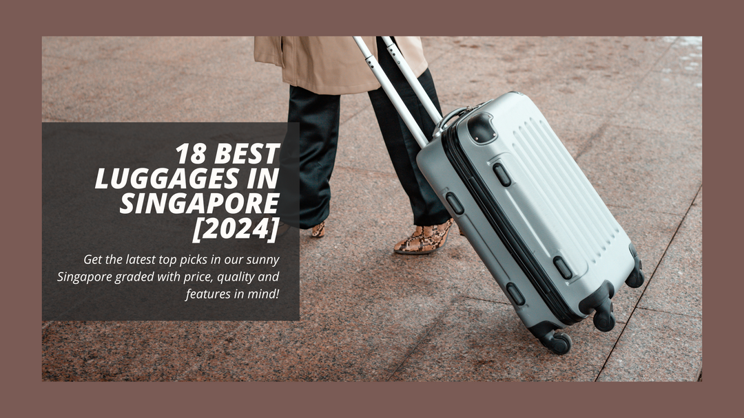 18 Best Luggages In Singapore [2024]