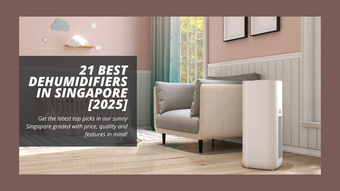 21 Best Dehumidifiers in Singapore [2025]