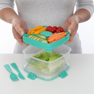 SISTEMA Salad To Go Box With Dividers Container For Dressing And Cutlery