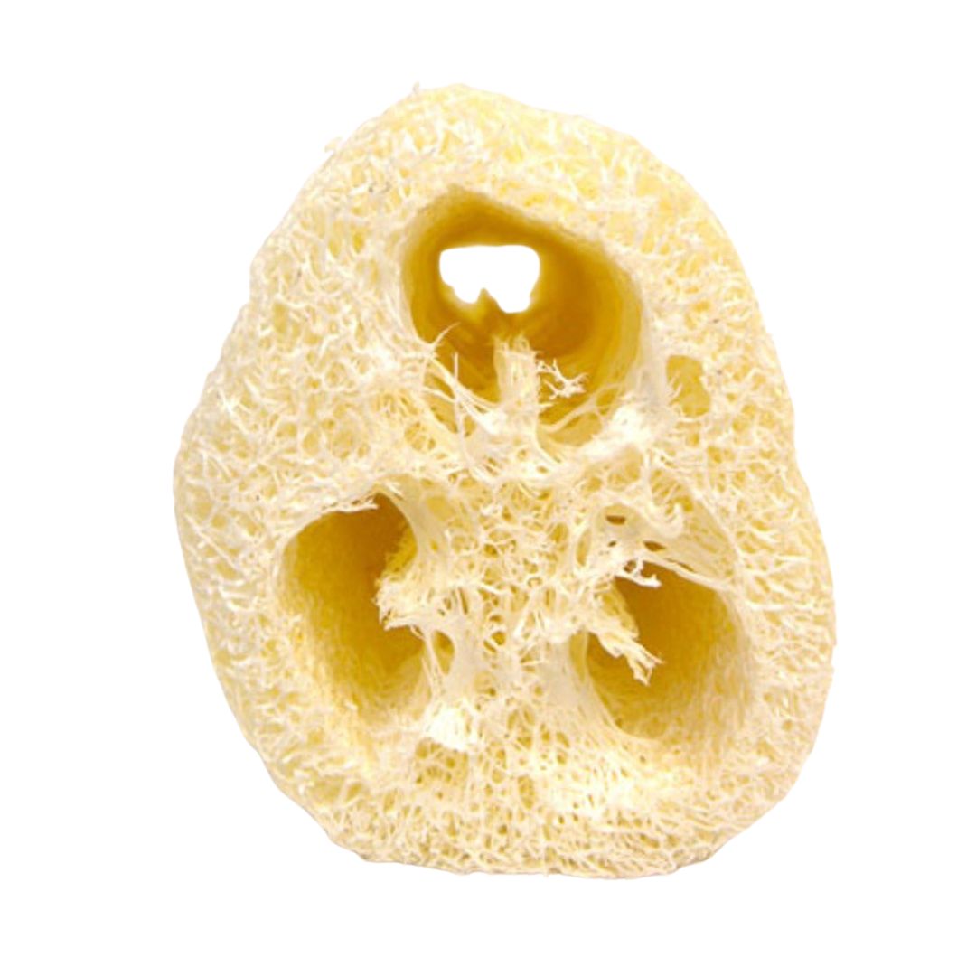 Marna Fiber Scrub (150mm)