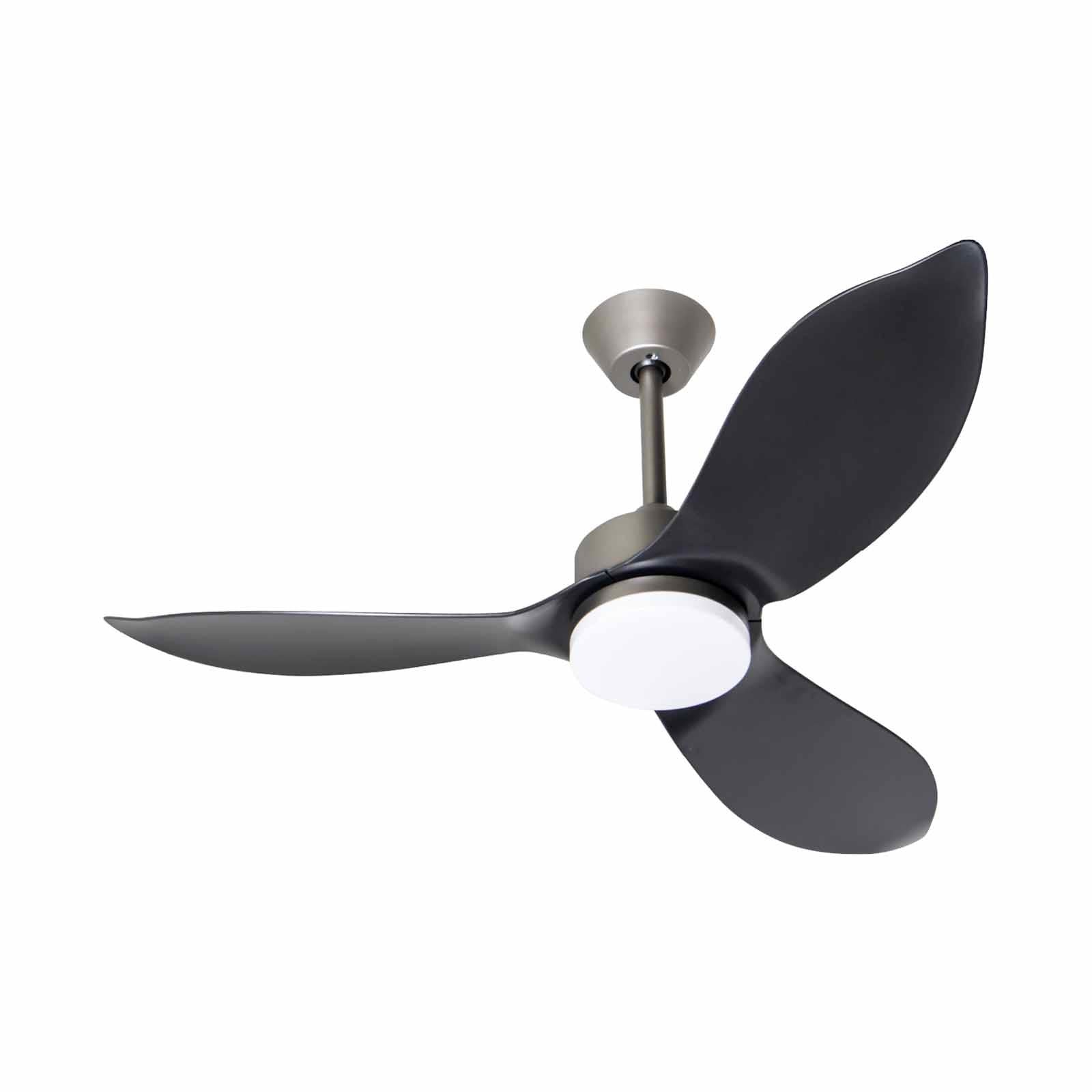 Mistral Ceiling Fan-36