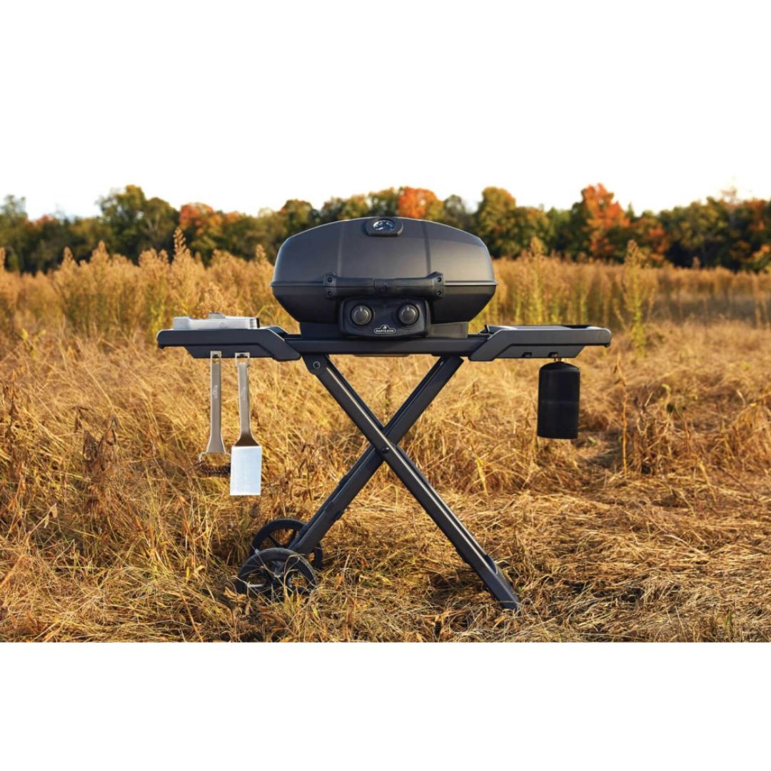 Napoleon Phantom Series Gas Grill