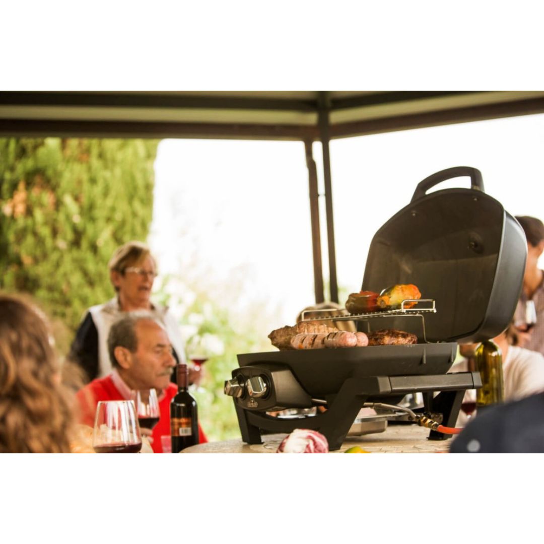 Napoleon TravelQ Pro 285 Grill