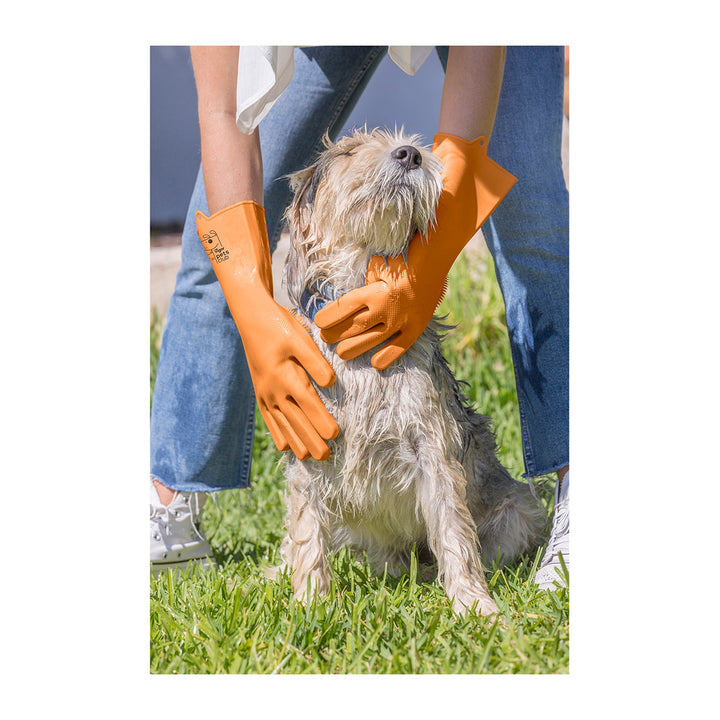 Vigar Pets Club Dog Washing Gloves