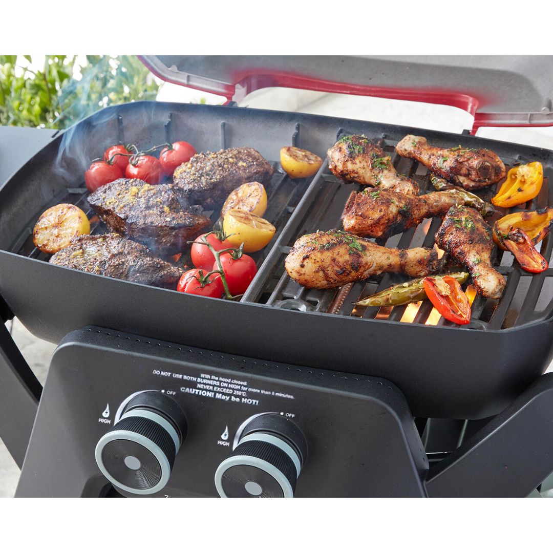 Ziegler & Brown Ziggy Elite 2B Gas Grill With Cart