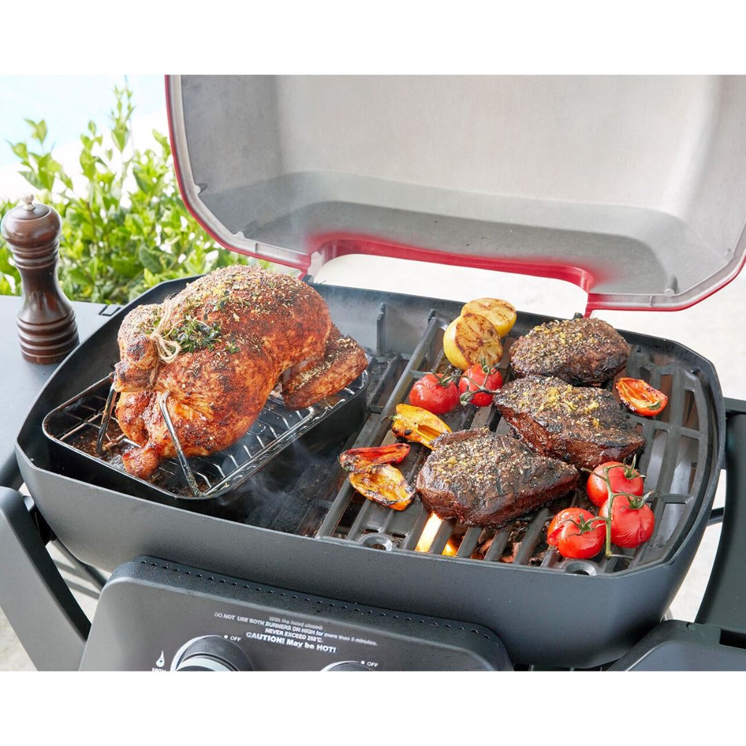 Ziegler & Brown Ziggy Elite 2B BBQ Gas Grill Grey