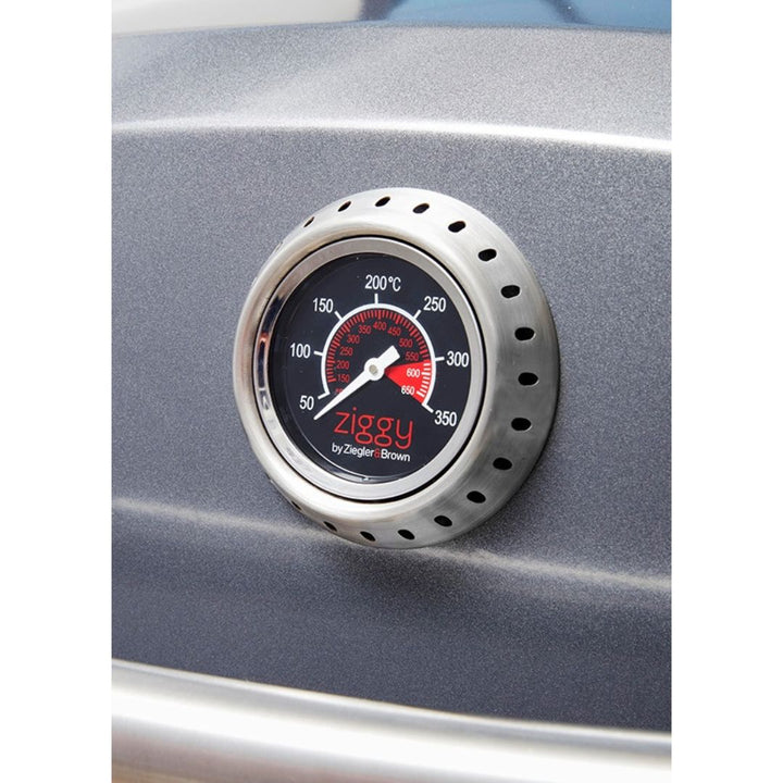 Ziegler & Brown Ziggy Elite 2B BBQ Gas Grill Grey