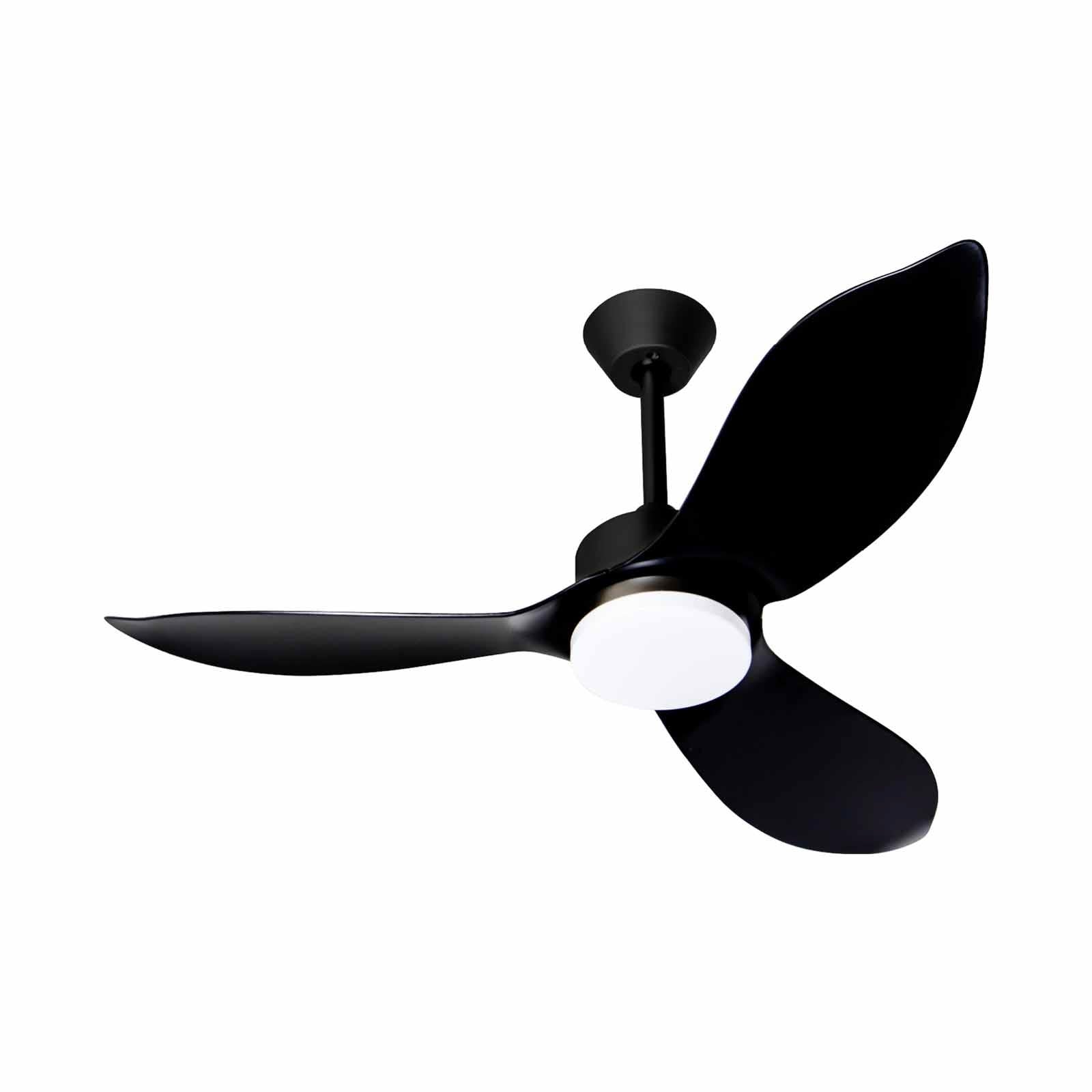 Mistral Ceiling Fan-36