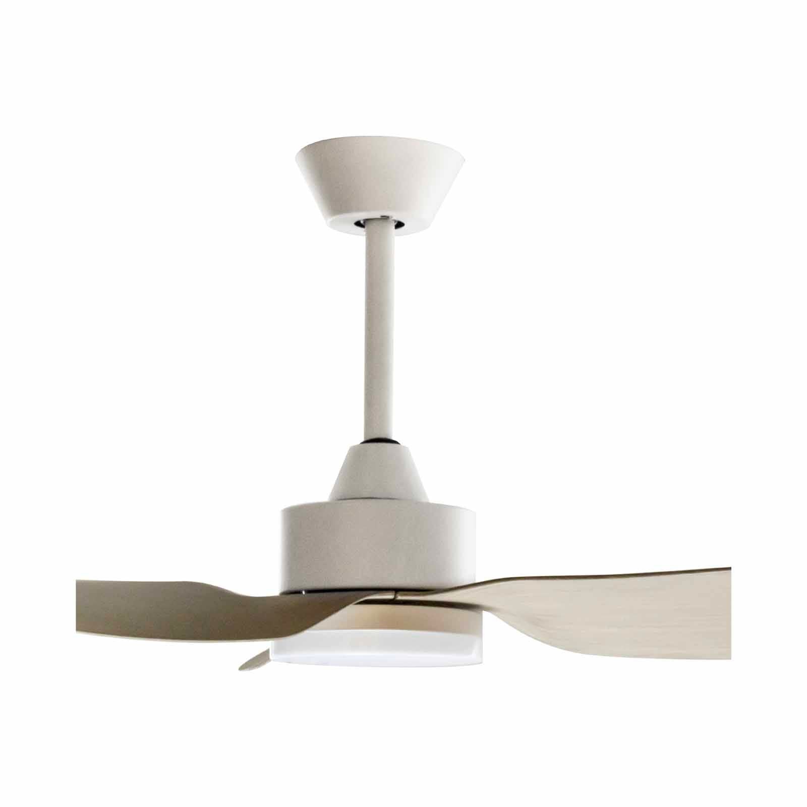 Mistral Ceiling Fan-36