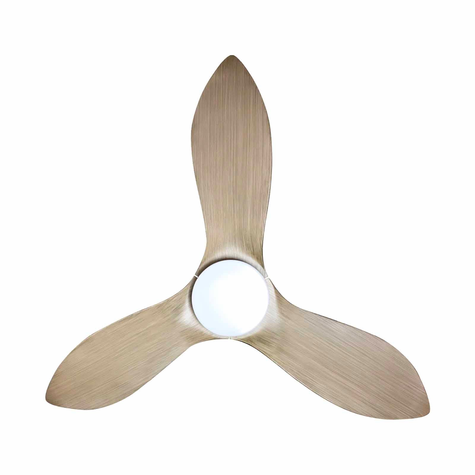 Mistral Ceiling Fan-36