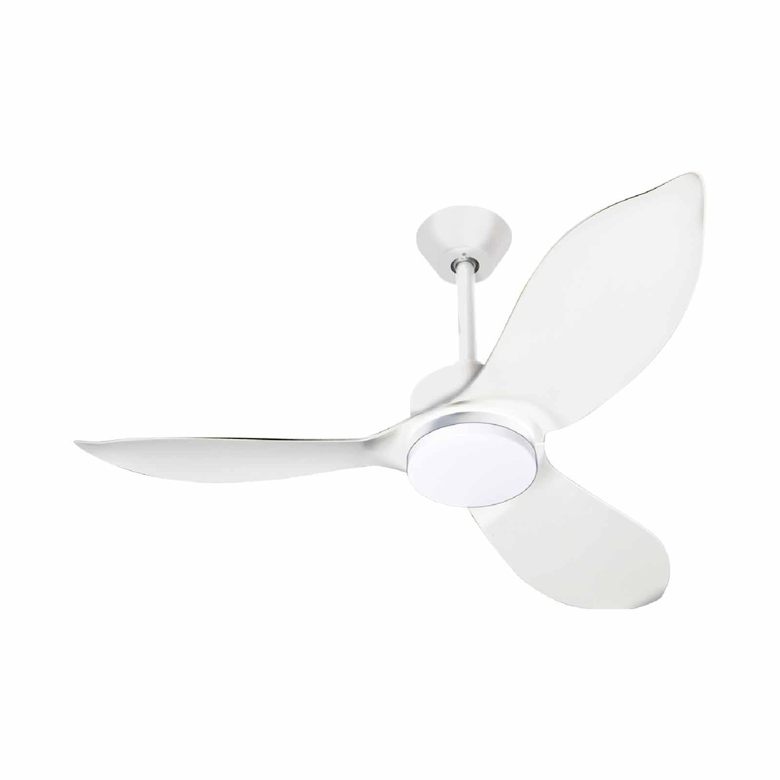 Mistral Ceiling Fan-36