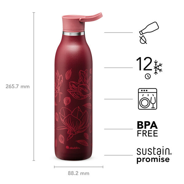Botol Air eCycle ALADDIN CityLoop Thermavac 0.6L