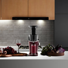 Load image into Gallery viewer, HUROM H-100 Slow Juicer, Deep Wine
