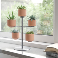 Load image into Gallery viewer, UMBRA Terrapotta Tabletop Planter
