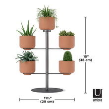Load image into Gallery viewer, UMBRA Terrapotta Tabletop Planter
